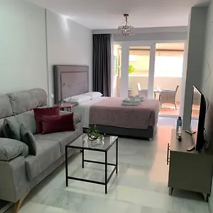 Kentia Malaga